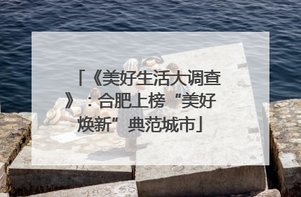 《美好生活大调查》：合肥上榜“美好焕新”典范城市
