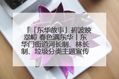 「东华故事」碧波映翠嶂 春色满东华丨东华门街道河长制、林长制、垃圾分类主题宣传如火如荼中