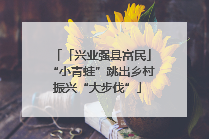 「兴业强县富民」“小青蛙”跳出乡村振兴“大步伐”