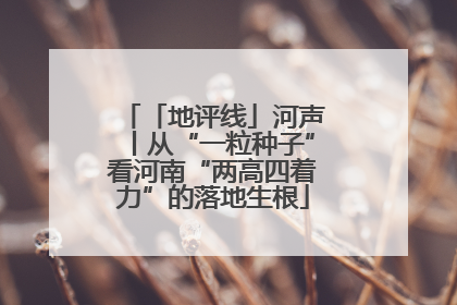 「地评线」河声丨从“一粒种子”看河南“两高四着力”的落地生根