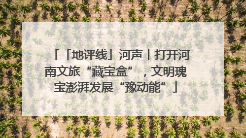 「地评线」河声丨打开河南文旅“藏宝盒”，文明瑰宝澎湃发展“豫动能”