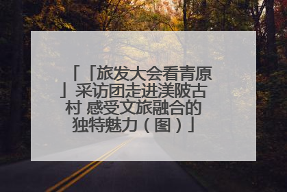 「旅发大会看青原」采访团走进渼陂古村 感受文旅融合的独特魅力（图）