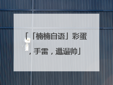「楠楠自语」彩蛋，手雷，邋遢帅