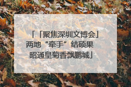 「聚焦深圳文博会」两地“牵手”结硕果 昭通皇菊香飘鹏城