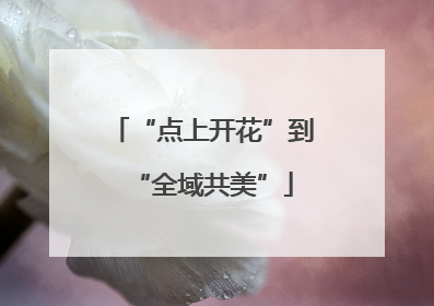 “点上开花”到“全域共美”