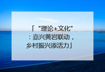 “理论+文化”：嘉兴黄岩联动，乡村振兴添活力