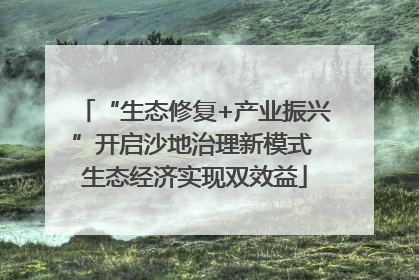 “生态修复+产业振兴”开启沙地治理新模式 生态经济实现双效益