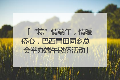 “粽”情端午，情暖侨心，巴西青田同乡总会举办端午慰侨活动