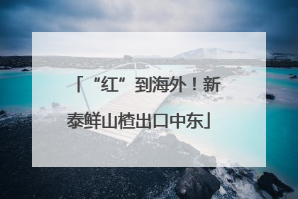 “红”到海外！新泰鲜山楂出口中东