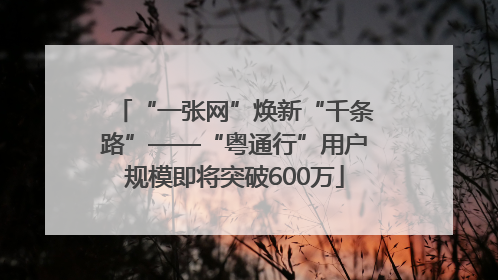 “一张网”焕新“千条路”——“粤通行”用户规模即将突破600万
