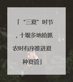 “三夏”时节，十堰多地抢抓农时有序推进夏种夏管