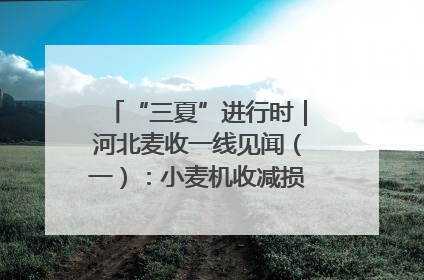 “三夏”进行时｜河北麦收一线见闻（一）：小麦机收减损“竞技” 农机高手麦田“过招”