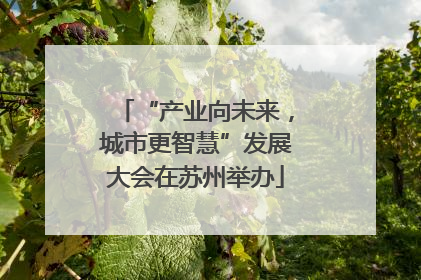 “产业向未来，城市更智慧”发展大会在苏州举办