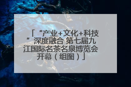 “产业+文化+科技”深度融合 第七届九江国际名茶名泉博览会开幕（组图）