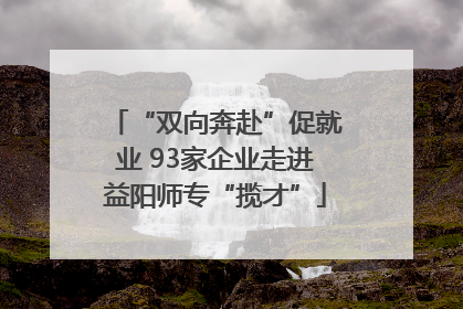 “双向奔赴”促就业 93家企业走进益阳师专“揽才”
