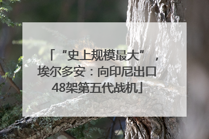 “史上规模最大”，埃尔多安：向印尼出口48架第五代战机