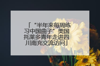 “半年来每周练习中国曲子”美国托莱多青年走进四川南充交流访问