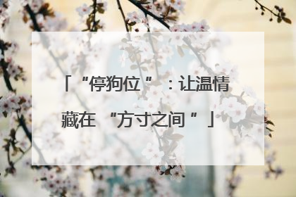 “停狗位 ”：让温情藏在 “方寸之间 ”