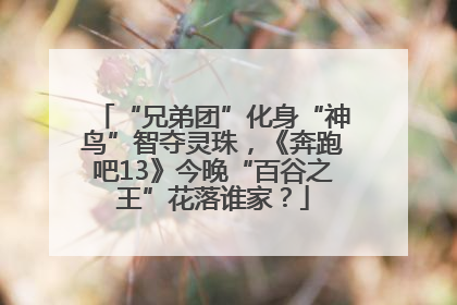 “兄弟团”化身“神鸟”智夺灵珠，《奔跑吧13》今晚“百谷之王”花落谁家？