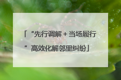 “先行调解＋当场履行”高效化解邻里纠纷