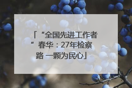 “全国先进工作者”春华：27年检察路 一颗为民心