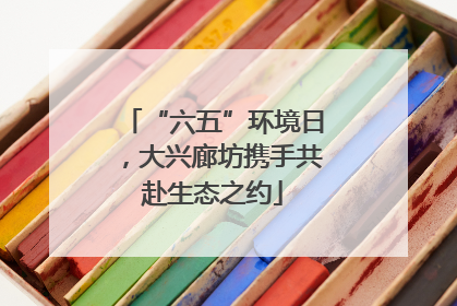 “六五”环境日，大兴廊坊携手共赴生态之约