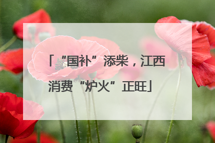 “国补”添柴，江西消费“炉火”正旺
