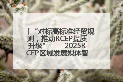 “对标高标准经贸规则，推动RCEP提质升级”——2025RCEP区域发展媒体智库论坛举行专题对话