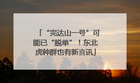 “完达山一号”可能已“脱单”！东北虎种群也有新喜讯