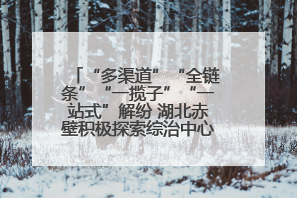 “多渠道”“全链条”“一揽子”“一站式”解纷 湖北赤壁积极探索综治中心规范化建设新路子