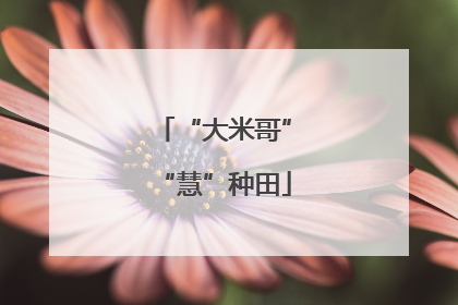 “大米哥”“慧”种田