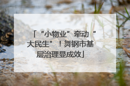“小物业”牵动“大民生”！舞钢市基层治理显成效