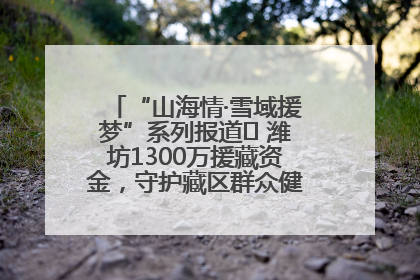 “山海情·雪域援梦”系列报道⑪ 潍坊1300万援藏资金，守护藏区群众健康“最后一公里”