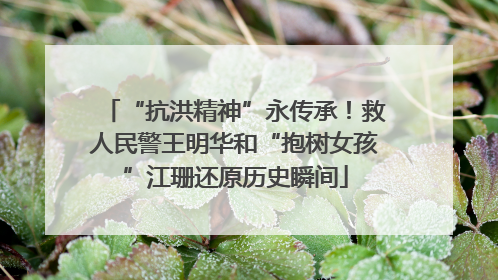 “抗洪精神”永传承！救人民警王明华和“抱树女孩”江珊还原历史瞬间