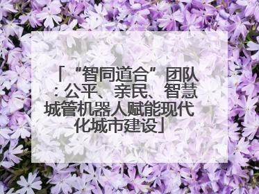 “智同道合”团队：公平、亲民、智慧城管机器人赋能现代化城市建设
