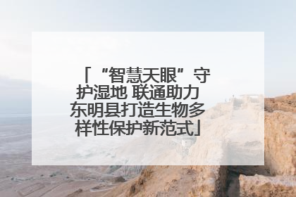 “智慧天眼”守护湿地 联通助力东明县打造生物多样性保护新范式
