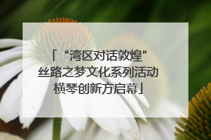 “湾区对话敦煌” 丝路之梦文化系列活动横琴创新方启幕