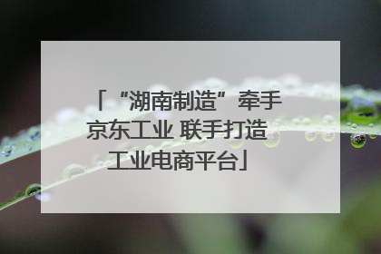 “湖南制造”牵手京东工业 联手打造工业电商平台