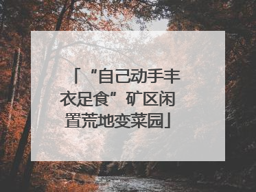 “自己动手丰衣足食”矿区闲置荒地变菜园