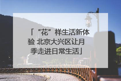 “花”样生活新体验 北京大兴区让月季走进日常生活