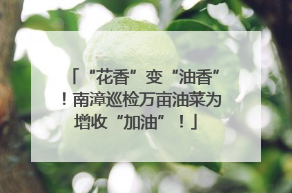 “花香”变“油香”！南漳巡检万亩油菜为增收“加油”！