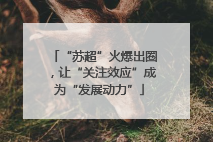 “苏超”火爆出圈，让“关注效应”成为“发展动力”