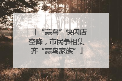 “蒜鸟”快闪店空降，市民争相集齐“蒜鸟家族”