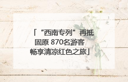 “西南专列”再抵固原 870名游客畅享清凉红色之旅