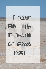 “趁热”查收！山东的“绿野仙踪”清凉感拉满