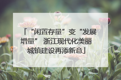 “闲置存量”变“发展增量” 浙江现代化美丽城镇建设再添新意