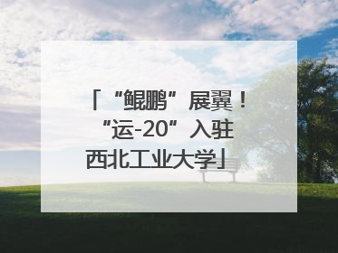 “鲲鹏”展翼！“运-20”入驻西北工业大学