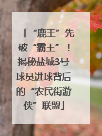 “鹿王”先破“霸王”！揭秘盐城3号球员进球背后的“农民街游侠”联盟