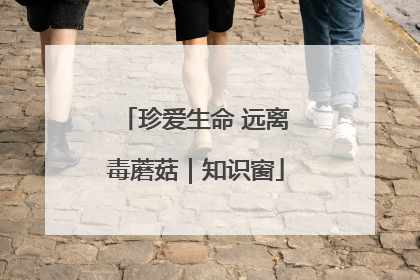 珍爱生命 远离毒蘑菇｜知识窗