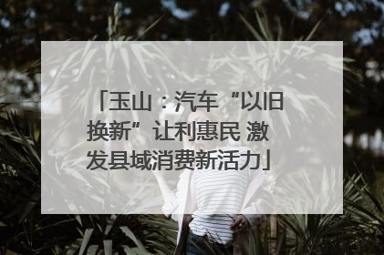 玉山：汽车“以旧换新”让利惠民 激发县域消费新活力
